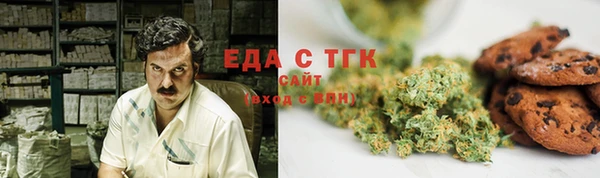 стаф Гусь-Хрустальный