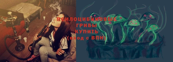 гашик Гусев