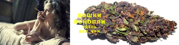 стаф Гусь-Хрустальный