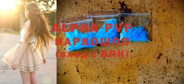 гашик Гусев