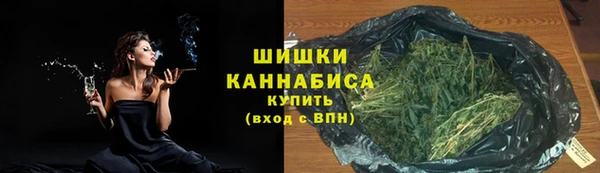 гашик Гусев