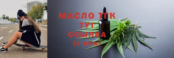 стаф Гусь-Хрустальный