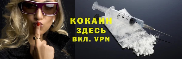 гашик Гусев