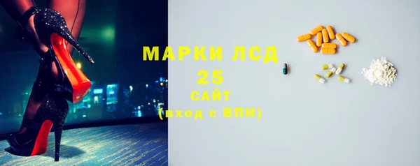 стаф Гусь-Хрустальный