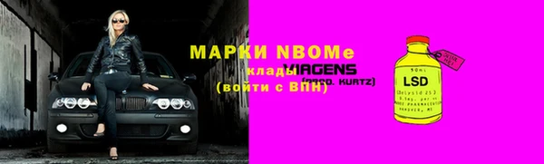 стаф Гусь-Хрустальный