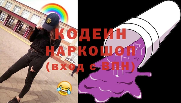 стаф Гусь-Хрустальный