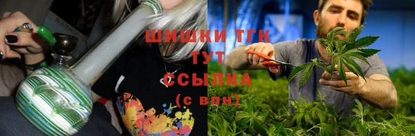 гашик Гусев