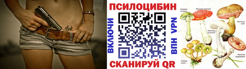 Псилоцибиновые грибы Cubensis  Купить закладки  Михайловск 