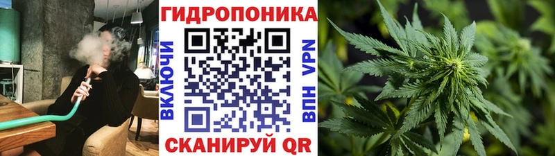 Бошки Шишки сатива  Купить  Михайловск 